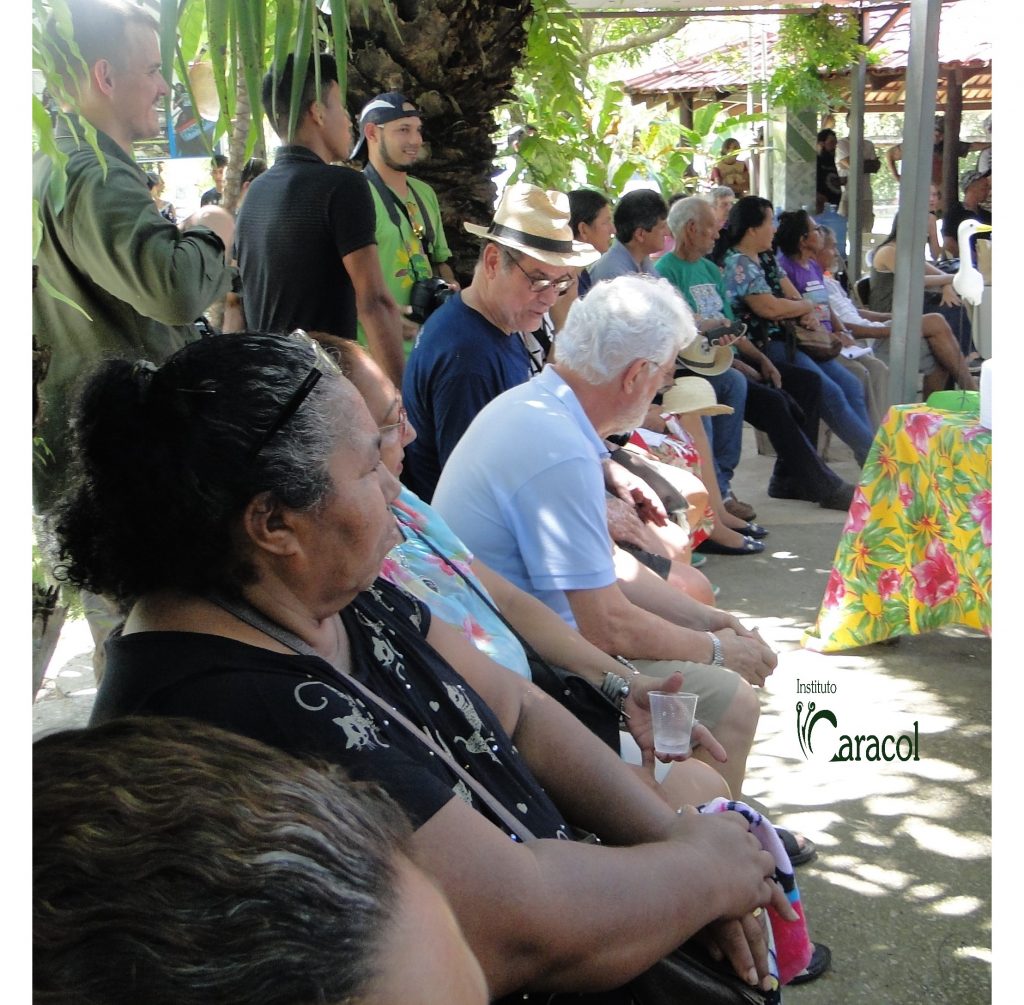 Atividade do Instituto Caracol em rede