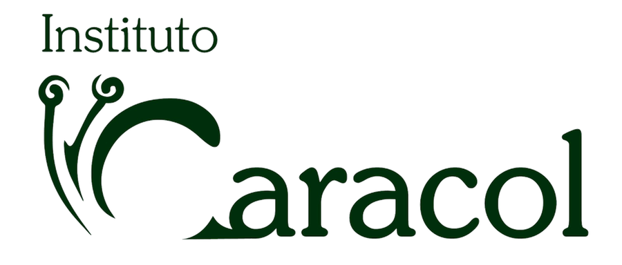 Instituto Caracol Logo